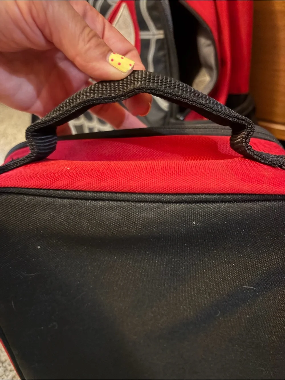 Pottery Barn Kids Red & Black Spider Web Lunch Bag